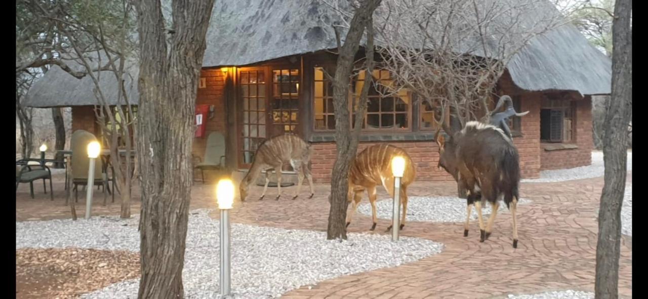 Makhato Bush Lodge 3 Bela-Bela Eksteriør bilde
