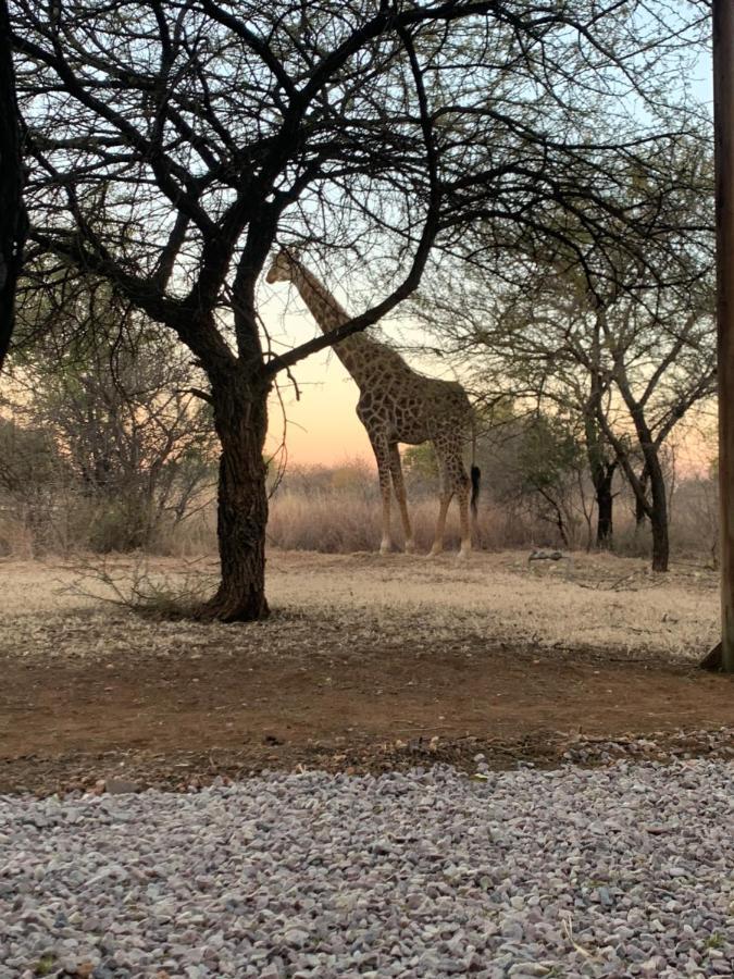 Makhato Bush Lodge 3 Bela-Bela Eksteriør bilde