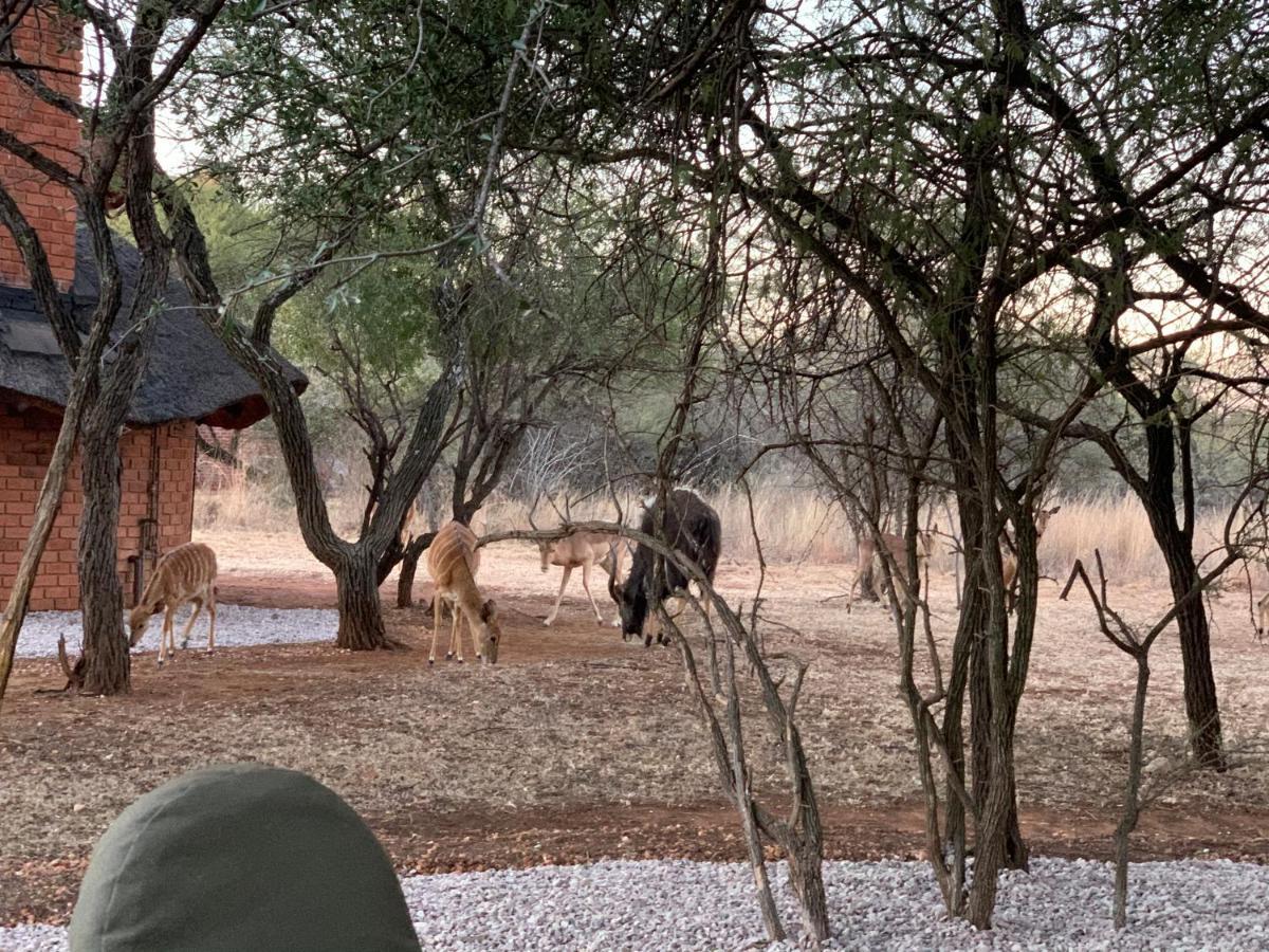 Makhato Bush Lodge 3 Bela-Bela Eksteriør bilde
